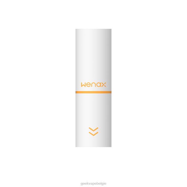GeekVape 4LZN197 1,2 ohm - GEEK VAPE shop wenax m1 patroonhuls 2 ml