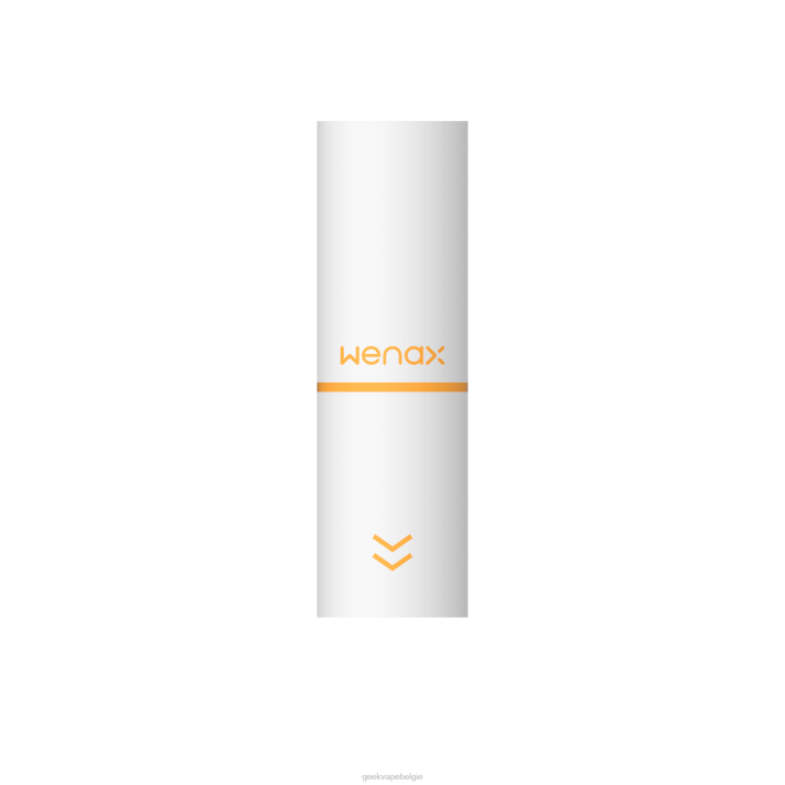 GeekVape 4LZN198 filterversie - GEEKVAPE factory wenax m1 patroonhuls 2 ml