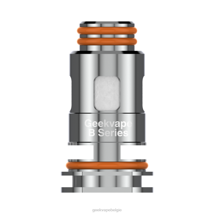 GeekVape 4LZN8 b0,3 ohm - GEEKVAPE factory 5 stks/pak b-serie spoel
